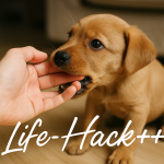 子犬の甘噛みを少なくする方法