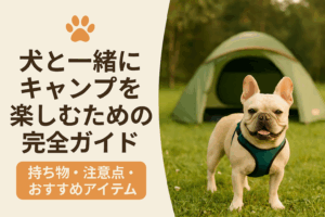 犬と一緒にキャンプを楽しむための完全ガイド｜持ち物・注意点・おすすめアイテム