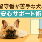 お留守番が苦手な犬への安心サポート術｜飼い主さんもワンちゃんも笑顔に