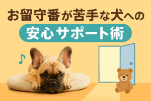 お留守番が苦手な犬への安心サポート術｜飼い主さんもワンちゃんも笑顔に