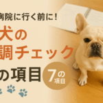 動物病院に行く前に！愛犬の体調チェック７項目【保存版】