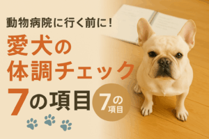 動物病院に行く前に！愛犬の体調チェック７項目【保存版】