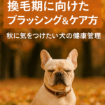 換毛期に向けたブラッシング＆ケア方法
