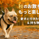 秋のお散歩をもっと楽しく！愛犬と行きたい公園＆持ち物リスト