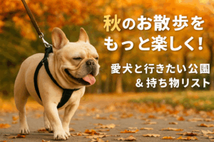 秋のお散歩をもっと楽しく！愛犬と行きたい公園＆持ち物リスト
