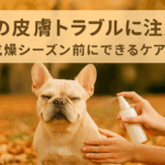 犬の皮膚トラブルに注意！乾燥シーズン前にできるケア