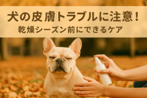 犬の皮膚トラブルに注意！乾燥シーズン前にできるケア