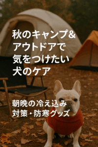 秋のキャンプ＆アウトドアで気をつけたい犬のケア