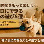 おうち時間をもっと楽しく！寒い日にできる犬との遊び5選