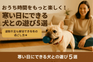 おうち時間をもっと楽しく！寒い日にできる犬との遊び5選