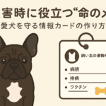 🧸 愛犬を守る情報カードの作り方｜災害時に役立つ“命のメモ”