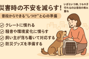 災害時の不安を減らす！普段からできる“しつけ”と心の準備