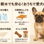 🏠 停電・断水でも安心！おうちでできる愛犬の防災対策完全ガイド